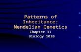 Patterns of Inheritance: Mendelian Genetics Chapter 11 Biology 1010.