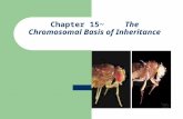 Chapter 15~ The Chromosomal Basis of Inheritance.