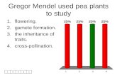 12345 Gregor Mendel used pea plants to study 1.flowering. 2.gamete formation. 3.the inheritance of traits. 4.cross-pollination.