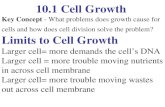 10.1 Cell Growth Key Concept - What problems does growth cause for cells and how does cell division solve the problem? Limits to Cell Growth Larger cell=