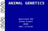 Illustration of DNA Double Helix from Wikipedia. ANIMAL GENETICS Agriscience 332 Animal Science #8406 TEKS: (c)(4)(B)