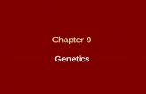 Chapter 9 Genetics. 9.1 The Work of Gregor Mendel Mendel – crossed pea plants to study and understand genetics –Most pea plants self pollinate (true breeding)