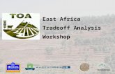 East Africa Tradeoff Analysis Workshop. Workshop goals and strategy Strategy Monday Introduction to TOA approach Tuesday AM Conceptual framework Tuesday.