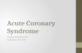 Acute Coronary Syndrome Garland Anderson MD September 29 th 2014.