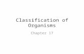 Classification of Organisms Chapter 17. Biodiversity Biodiversity – the variety of organisms considered at all levels from populations to ecosystems.