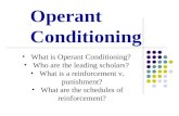 Operant Conditioning What is Operant Conditioning? Who are the leading scholars? What is a reinforcement v. punishment? What are the schedules of reinforcement?