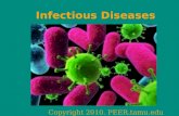 Infectious Diseases Copyright 2010. PEER.tamu.edu.