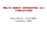 1 MULTI-BUNCH INTEGRATED ILC SIMULATIONS Glen White, SLAC/QMUL Snowmass 2005.