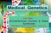 LECTURE Klinefelter,Turner & Down Syndrome Muhammad Faiyaz-Ul-Haque, M.Phil, PhD, FRCPath.
