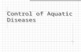 Control of Aquatic Diseases. 6) External Treatments Controls pathogenic agents of fish/water Requires immersion Chemical effective but at lower-than-lethal.