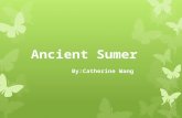 The Sumerians were one of the earliest urban societies to emerge in the world, in southern Mesopotamia more than 5000 years ago. The Sumerians lived.