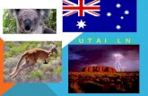 AUSTRALIA SLANGAUSTRALIA SLANG. WHEN VISITING AUSTRALIA When visiting Australia you may have trouble understanding us when we speak. Australians use a.