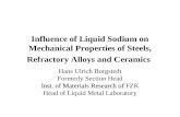 Influence of Liquid Sodium on Mechanical Properties of Steels, Refractory Alloys and Ceramics Hans Ulrich Borgstedt Formerly Section Head Inst. of Materials.