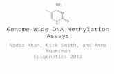 Genome-Wide DNA Methylation Assays Nadia Khan, Rick Smith, and Anna Kuperman Epigenetics 2012.