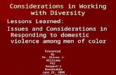 Considerations in Working with Diversity Lessons Learned: Issues and Considerations in Responding to domestic violence among men of color Presented By.
