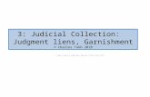 3: Judicial Collection: Judgment liens, Garnishment © Charles Tabb 2010 I don’t want a subtitle. How do I kill this off?
