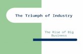 The Triumph of Industry The Rise of Big Business.