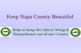 Keep Napa County Beautiful Help us keep the Glassy-Winged Sharpshooter out of our County.