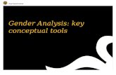 Gender Analysis: key conceptual tools. Amsterdam, The Netherlands  What is Gender Analysis? Social analysis to distinguish the resources, activities,