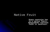 Native Fruit Every countries has it’s native fruits. Bangladeshi national fruit is Jackfruit.