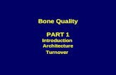 Bone Quality PART 1 Introduction Architecture Turnover.