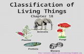 Classification of Living Things Chapter 18 .