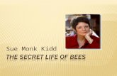 Sue Monk Kidd.  Born August 12, 1948 – Georgia  Began writing at age of 30; nonfiction (memoirs)  First novel: The Secret Life of Bees (2002)  Second.