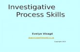 Investigative Process Skills Evelyn Visagé daanvisage@mweb.co.za Copyright 2010 daanvisage@mweb.co.za.