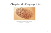 Chapter 4 - Fingerprints “Fingerprints cannot lie, but liars can make fingerprints.” --- unknown 1.