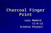 Charcoal Finger Print Luis Madrid 11-5-12 Science Project.