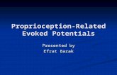 Proprioception-Related Evoked Potentials Presented by Efrat Barak.