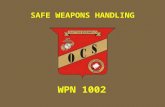 SAFE WEAPONS HANDLING WPN 1002. Weapons conditions and safety rules Reloads Weapon Commands Weapon Carries Weapon Transports Weapon Transfers Indicators.