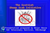 The Scottish Sheep Scab Initiative Presentation prepared by Brian Hosie SAC Veterinary Services, Edinburgh.