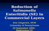 Reduction of Salmonella Enteritidis (SE) in Commercial Layers Eric Gingerich, DVM University of Pennsylvania 29 September 2008 – Washington DC.