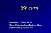 Bt corn Saturnina C Halos, Ph.D. Chair, Biotechnology Advisory Team Department of Agriculture.