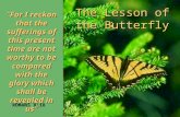 The Lesson of the Butterfly “For I reckon that the sufferings of this present time are not worthy to be compared with the glory which shall be revealed.