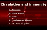Circulation and Immunity 1.1 The Heart 1.1 The Heart 1.2 Blood Vessels 1.2 Blood Vessels 1.3 Blood 1.3 Blood 1.4 Cardiovascular Disease 1.4 Cardiovascular.