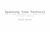 Spanning Tree Protocol How to allow redundancy (i.e. loops) in the link layer topology. Brad Smith.