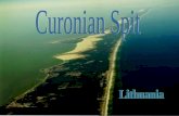 The Curonian Spit is a 98 km long, thin, curved sand dune peninsula that separates the Curonian Lagoon from the Baltic Sea. It is the home of the highest.
