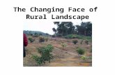 The Changing Face of Rural Landscape Introduction Area of farmland = people involved in agriculture decrease = People now involved in agriculture: facing.