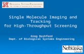 Single Molecule Imaging and Tracking for High-Throughput Screening Single Molecule Imaging and Tracking for High-Throughput Screening Greg Bashford Dept.