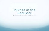 Injuries of the Shoulder Mechanism, Evaluation and Treatment.