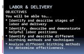 LABOR & DELIVERY OBJECTIVES You will be able to…..  Identify and describe stages of labor and delivery  Identify, describe and demonstrate helpful labor.