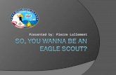 Presented by: Pierre Lallement. Agenda  Important Adult Leaders and Resources for Eagle Rank Advancement  Eagle Project Timeline  Eagle Application.