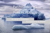 1 Pathological anatomy of TUBERCULOSIS According prof Ya. Bodnar As.-prof. V.Voloshyn.