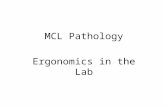 MCL Pathology Ergonomics in the Lab. What is Ergonomics? zThe word ergonomics is derived from the Greek words “ergon” which means work and “nomos” which.