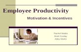 Employee Productivity Rachel Waldo Brett Corday Abby Martin Motivation & Incentives