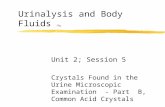 Urinalysis and Body Fluids CRg Unit 2; Session 5 Crystals Found in the Urine Microscopic Examination - Part B, Common Acid Crystals.