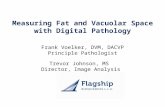 Measuring Fat and Vacuolar Space with Digital Pathology Frank Voelker, DVM, DACVP Principle Pathologist Trevor Johnson, MS Director, Image Analysis.