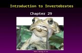 Mader: Biology 8 th Ed. Introduction to Invertebrates Chapter 29.